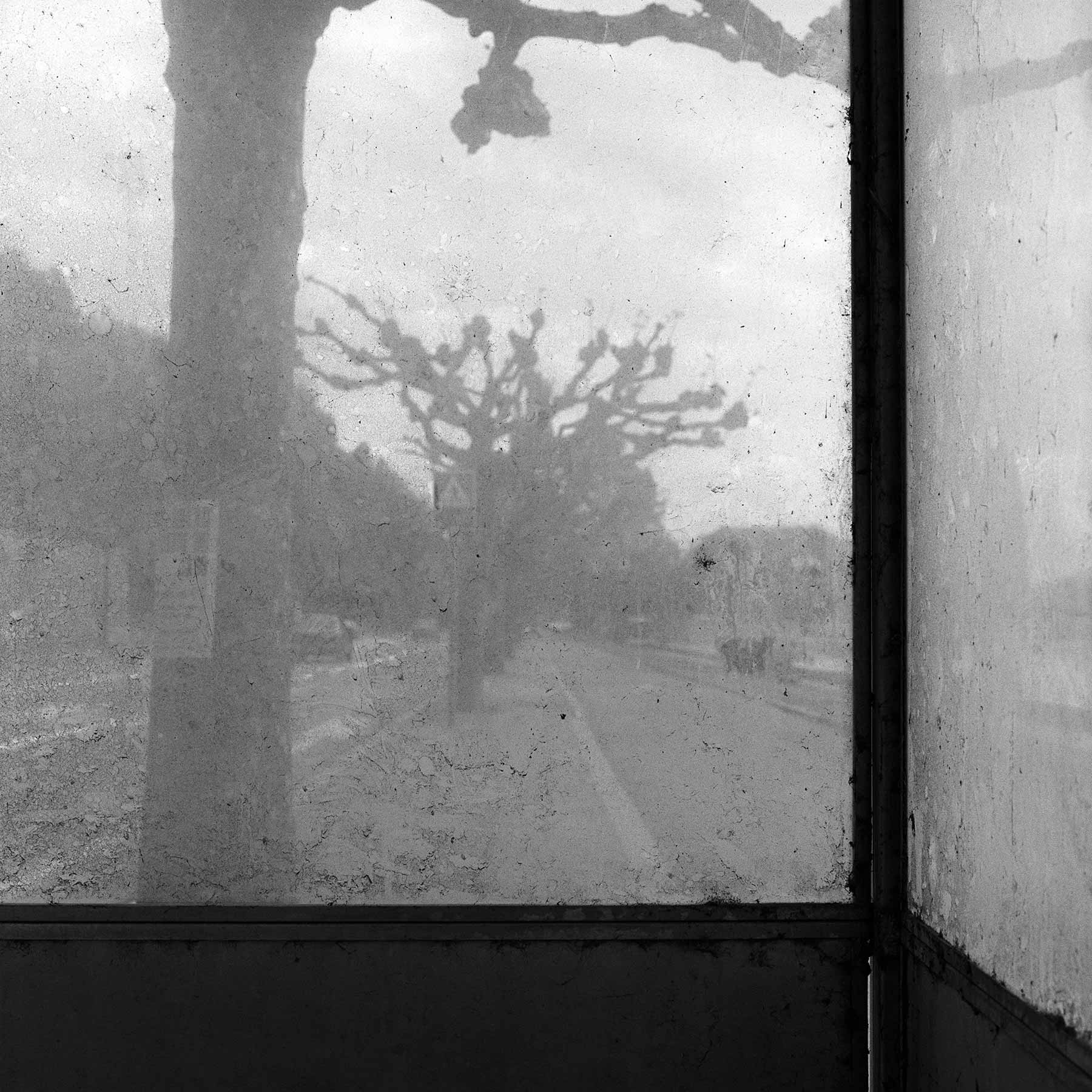 Fenêtre sale d'un arrêt de bus – Quai de Cologny, Genève, Suisse, 1981